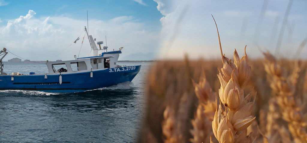 漁船と小麦畑の写真